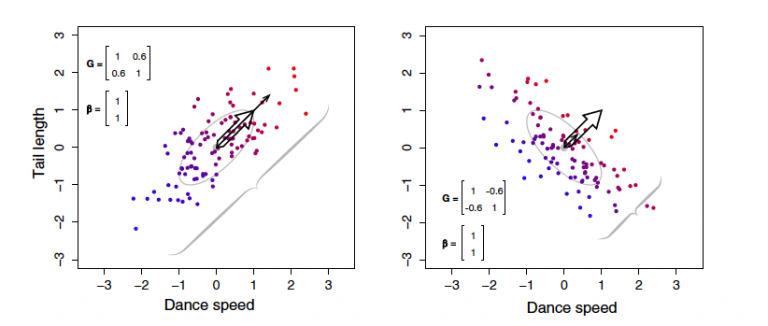 Seminars on Ecology, Evolution & Behaviour