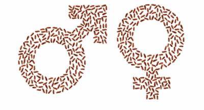 Seminars on Ecology, Evolution & Behaviour