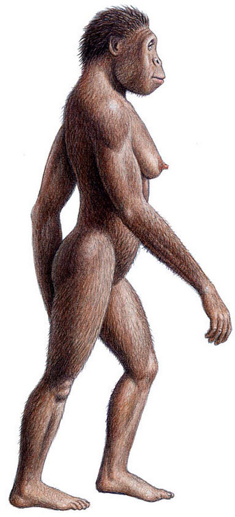 Seminars on Evolution, Ecology & Behaviour