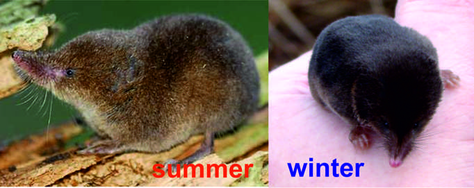 In Nature about our research