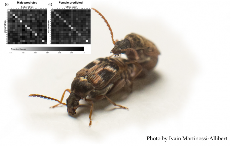 Seminars on Evolution, Ecology & Behaviour