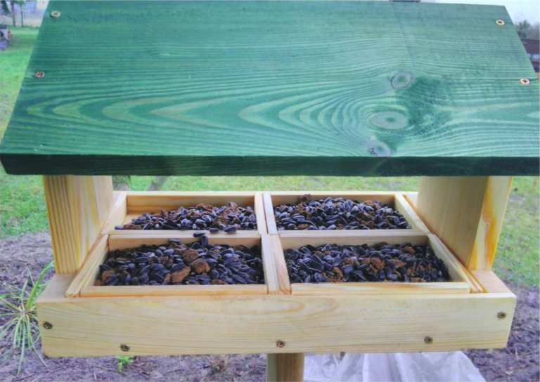 Seminars on Evolution, Ecology & Behaviour