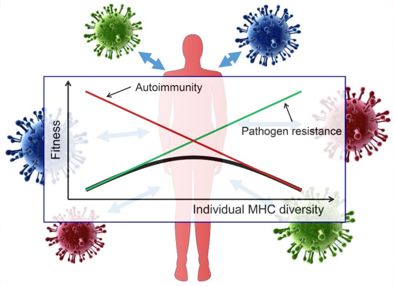 Seminars on Evolution, Ecology & Behaviour