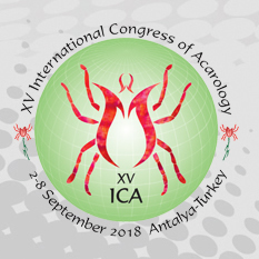 Nagrody dla doktorantek z naszego Instytutu za najlepsze prezentacje na  Międzynarodowym Kongresie