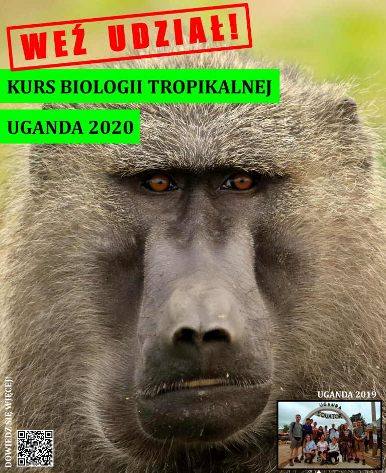 Plakat ze zdjęciem pawiana z bliska reklamuje kurs biologii tropikalnej w Ugandzie w 2020 r.