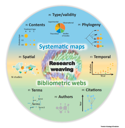 Okrągła infografika zatytułowana „Research Weaving”. Zawiera mapy systematyczne, sieci bibliometryczne i diagramy na tematy takie jak typ/ważność, filogeneza, zawartość, przestrzeń, czas, klastry, terminy i autorzy.
