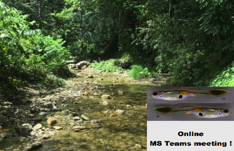 Rzeka o charakterze górskim. W prawym dolnym rogu dwa gupiki.