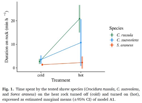 Wykres czasu przebywania ryjówek na gorącym kamieniu.